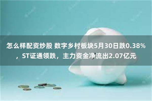 怎么样配资炒股 数字乡村板块5月30日跌0.38%，ST证通领跌，主力资金净流出2.07亿元