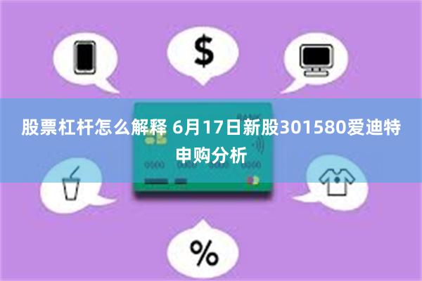 股票杠杆怎么解释 6月17日新股301580爱迪特申购分析