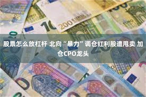 股票怎么放杠杆 北向“暴力”调仓红利股遭甩卖 加仓CPO龙头