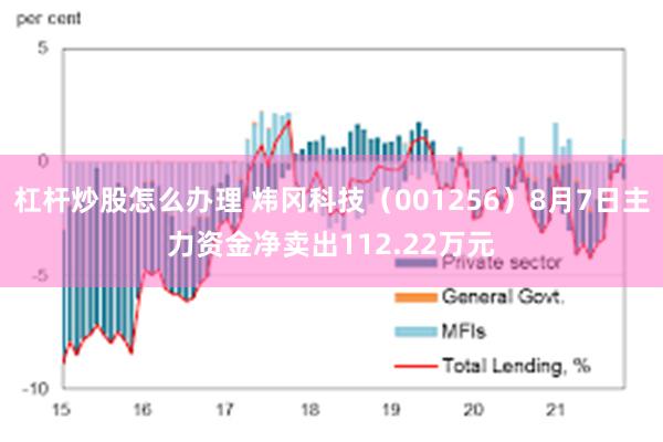 杠杆炒股怎么办理 炜冈科技（001256）8月7日主力资金净卖出112.22万元