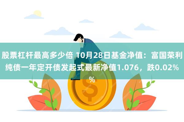 股票杠杆最高多少倍 10月28日基金净值：富国荣利纯债一年定开债发起式最新净值1.076，跌0.02