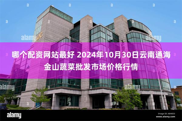 哪个配资网站最好 2024年10月30日云南通海金山蔬菜批发市场价格行情