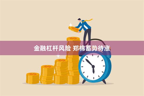 金融杠杆风险 郑棉蓄势待涨