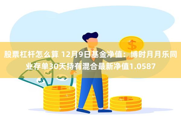 股票杠杆怎么算 12月9日基金净值：博时月月乐同业存单30天持有混合最新净值1.0587