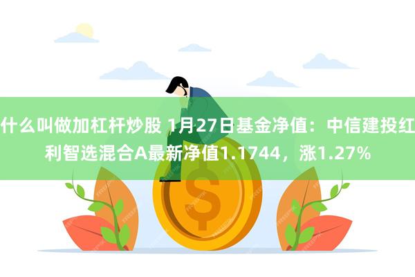 什么叫做加杠杆炒股 1月27日基金净值：中信建投红利智选混合A最新净值1.1744，涨1.27%