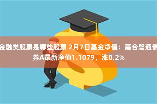 金融类股票是哪些股票 2月7日基金净值：嘉合磐通债券A最新净值1.1079，涨0.2%