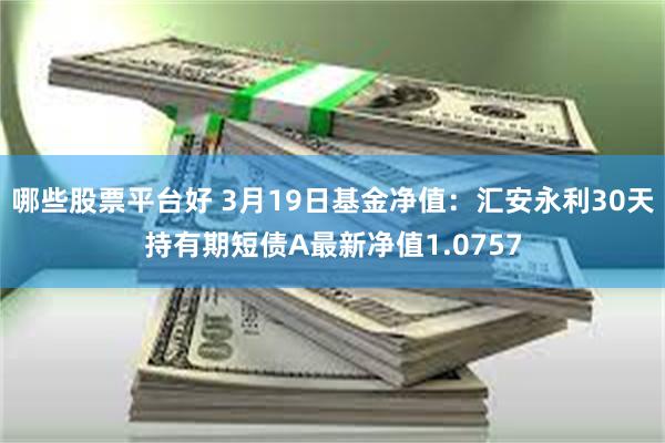 哪些股票平台好 3月19日基金净值：汇安永利30天持有期短债A最新净值1.0757